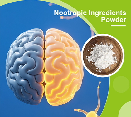 Nootropic Ingredients Powder